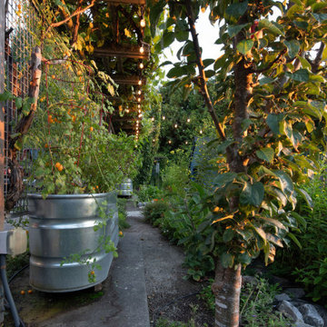 Anderson Gardens, 20 Years Later