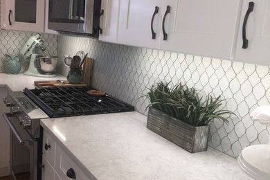 Kitchen - transitional kitchen idea in Tampa