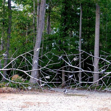 Random Gates