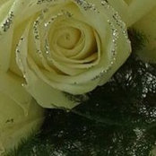 Foto von Dot Metcalf