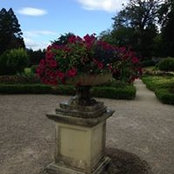 Susan Askin's photo