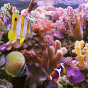 Saylor Mayer's photo
