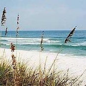 Leigh Neri's photo
