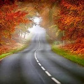 Sheila Mitchell Martin's photo