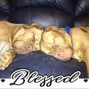 Debbie Flatt's photo
