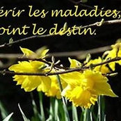 Foto di Sylvie Doré