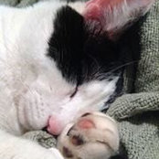 Judy Klemm's photo