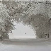 Shannon Anderson's photo