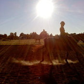 Patti Hoeks's photo