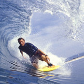 Steve Wilson's photo