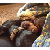 Brenda Helmick's photo