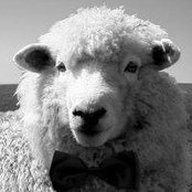 Damon Hardie's photo