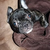Nicole McLain-Buddin's photo