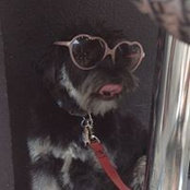Katrina Debono's photo