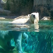 Foto de Leah Rhoufiry

