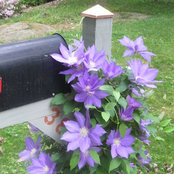 Foto von hendersonhome