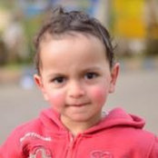 Mohamed El-shami's photo