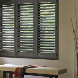 Hunter Douglas Shutters - Windows