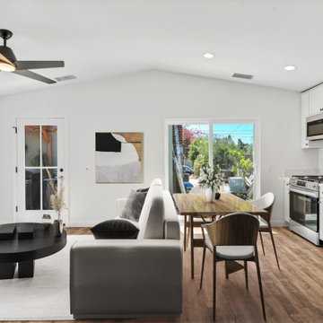 Living Room / Dining Area / Kitchen