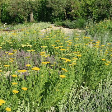 Giardino mediterraneo moderno