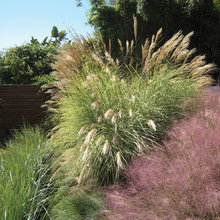 Scott & Kristen front landscape ideas