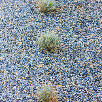Landscape & Hardscape
