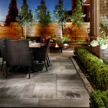 Dream Backyard