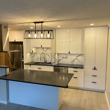 Modern Black and white Kitchen