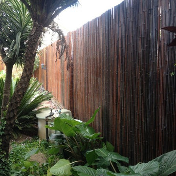 Bamboo Fencing/ Screens