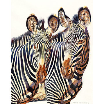 "Safari Zebras" Canvas Art, 24"x36"