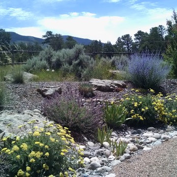 Taos Projects