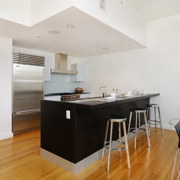 Green Penthouse in Hoboken