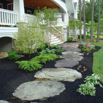 Premier Projects