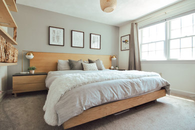 Example of a mid-sized minimalist master carpeted and gray floor bedroom design in Boston with gray walls and no fireplace