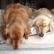 Holly Lang's photo
