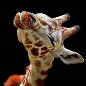 Diane Page's photo