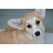 Barbara Kennamer's photo