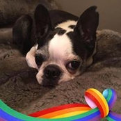 Tom Songin's photo