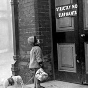 Ute Sprick's photo