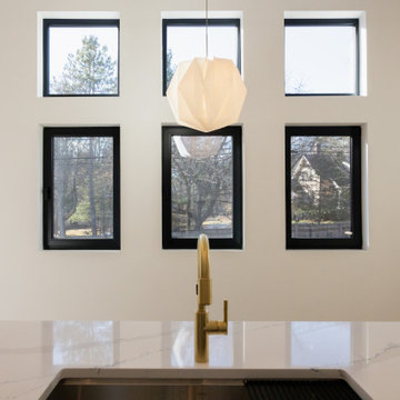 Western Project: Modern European Elegance with Vaulted Ceilings