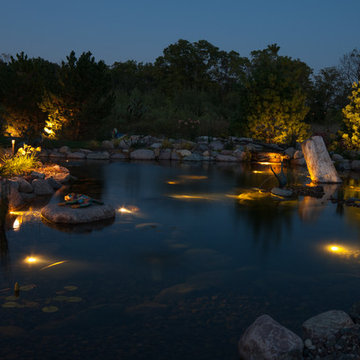Back Yard Oasis