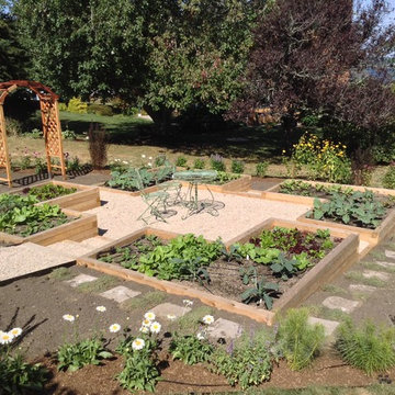 Raised Bed Vegetable Gardens