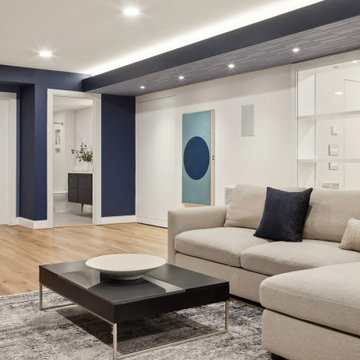 Basement Remodel – Arlington, VA