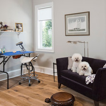 GDR Dog Room