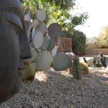 Backyard Ideas
