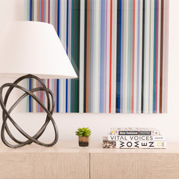 Preston Hollow Modern Minimalist Furnishing