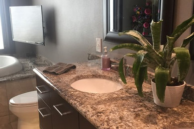 Inspiration for a bathroom remodel in Chicago
