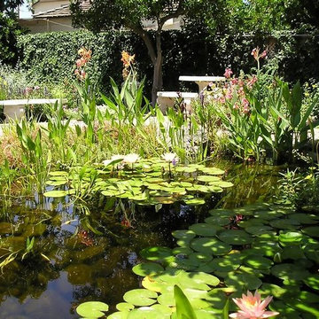 Water Gardens