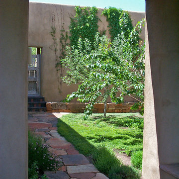 Pedregal House