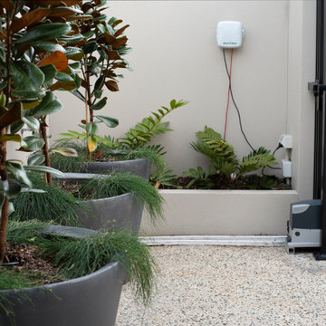 Ascot Interior, Landscape & Streetscape Renovation